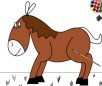 Color the Horse