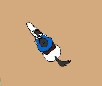 Eggersman Show Jump