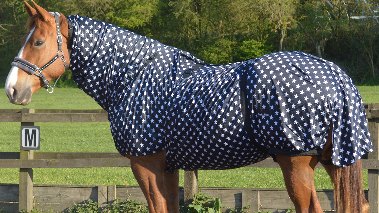 Horse Blankets Keep Horses And Pony Warm In Iciness!
