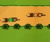 Horse Race Course