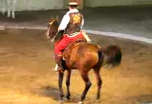 Horse Dancing