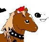 Leadra Horse Dress Up