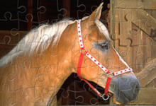 Horse Jigsaw