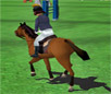 Horse Jumping Show