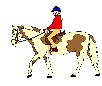 Horse Riding Puzzle