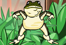 Kamikaze Frogs