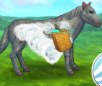 My Brave Horse 