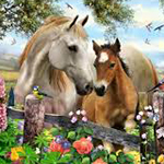 Thermal balance in exercising horses