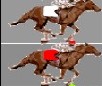 Jump Training