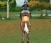 Woodland Horse Racing