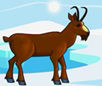 Build an Animal