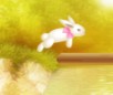 Bunnies and Eggs
