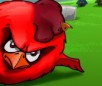 Chicken House