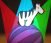 Circus Zebra