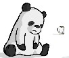 Drinking Panda