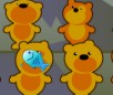 Feed Bears