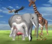Flamingo Drive Animal Game