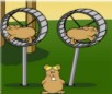 Flight of the Hamsters 