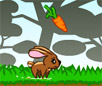 Fluffy Runner Flash Animal Game
