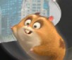 Hamster Roller Ball