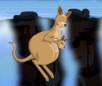 Jumping Kangaroo Animal Game