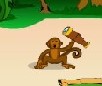 Monkey Mayhem