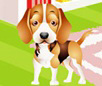 Pets Shop