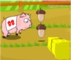 Pig Race Animal Game
