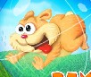 Run Bamster Run