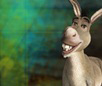 Think Donkey Think