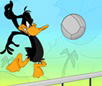 Tricky Duck Volleyball