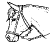 Color the Horse Picture 5