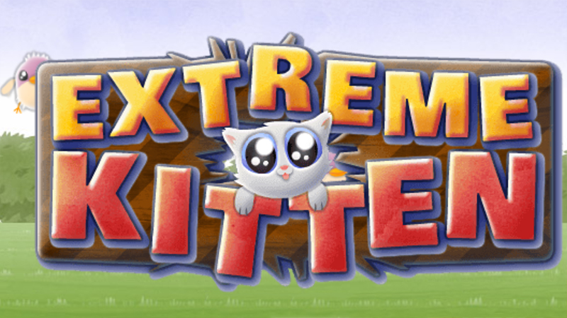 Extreme Kitten - Amazing Cat Game at horse-games.org
