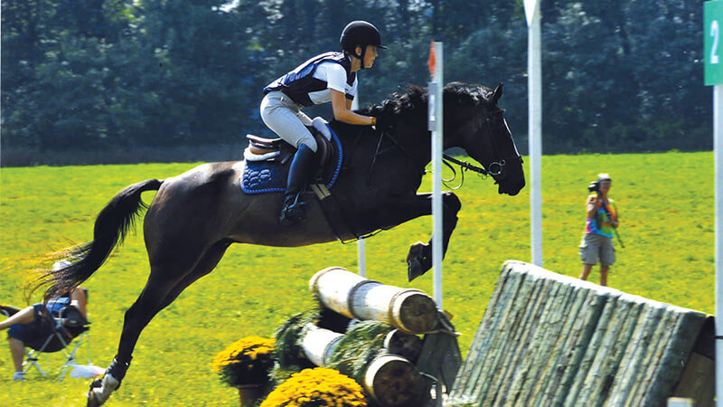 Horse Jump Game - Puzzle Games - Horse Games