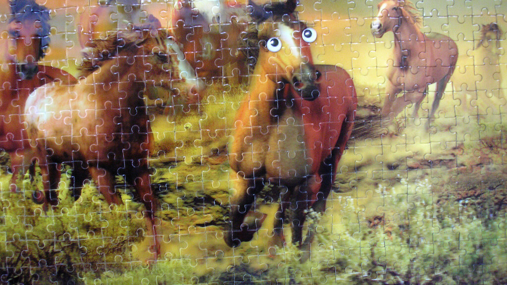 Horse Puzzle Play Free Horse Puzzle Game at HorseGames.or