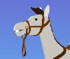 Horse Racing
