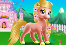 Pony Princess Makeover