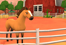 Spirit Luckys Horse Farm